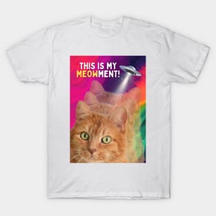 This is My Meowment T-Shirt